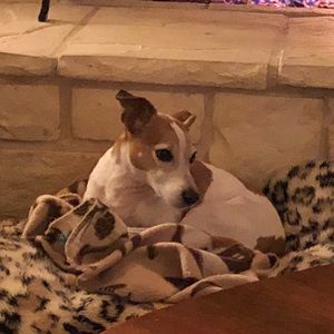 Meet your Posher, Nancy